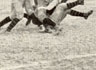 North-West Football, 1923